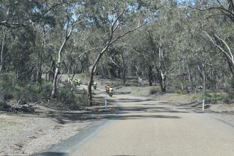 Bikes on country road
