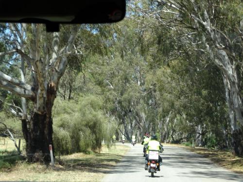 Bikes in the forest